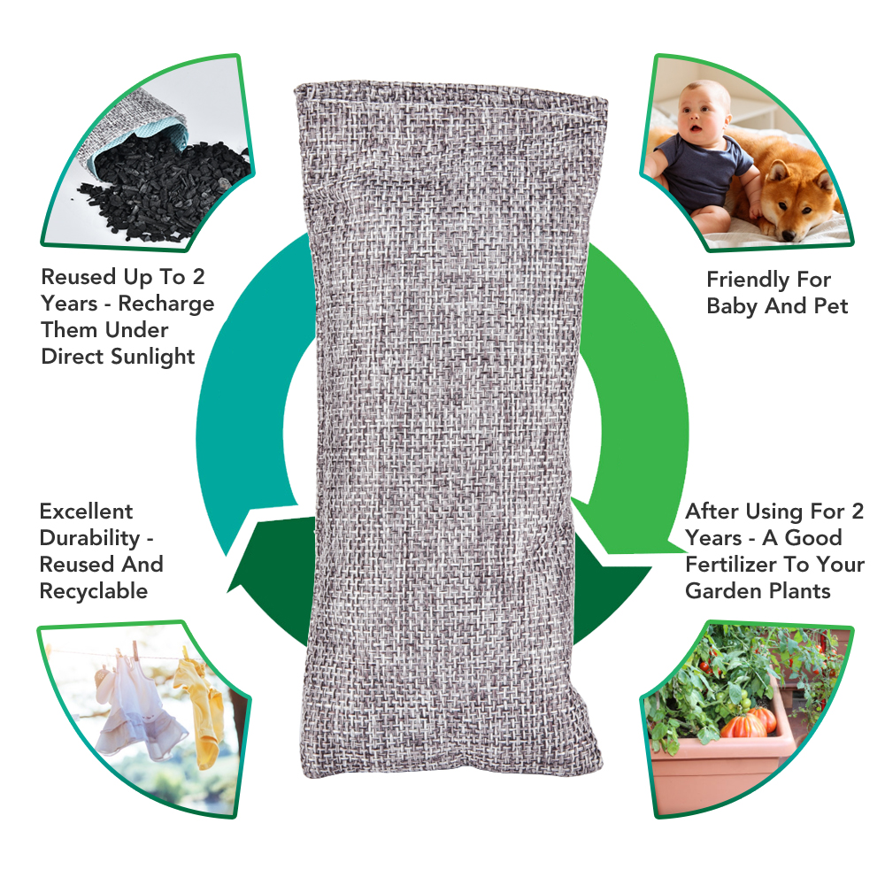 10pcs Natural Bamboo Charcoal  - Odor Eliminator Car recensie en prijs